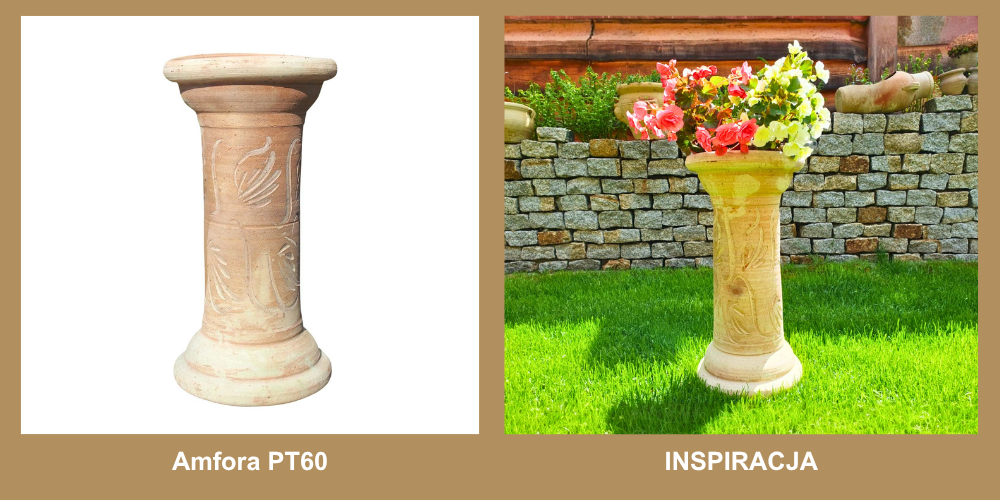 Porównanie pt50 Porównanie pt50